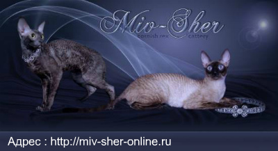 Miv-Sher